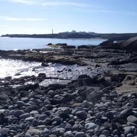 Apartman Ocean View *